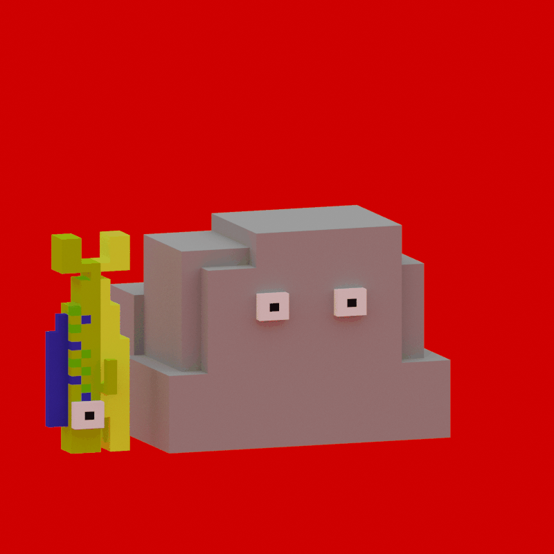 pet fish